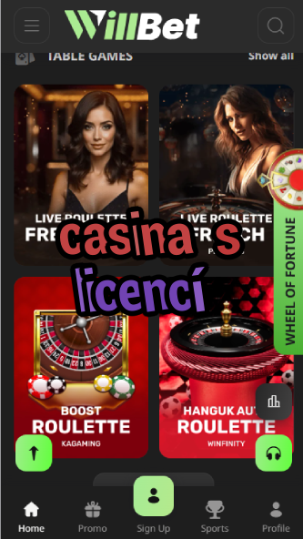 Casina S Licencí - Licensed Czech Casinos-casinoorder.vip