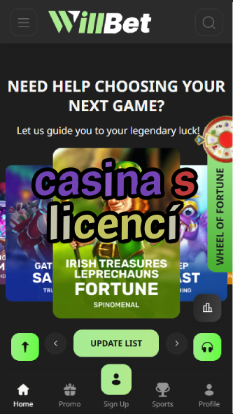 Casina S Licencí - Licensed Czech Casinos-casinoorder.vip