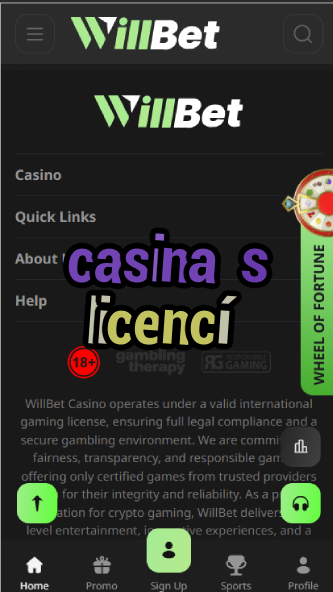 Casina S Licencí - Licensed Czech Casinos-casinoorder.vip