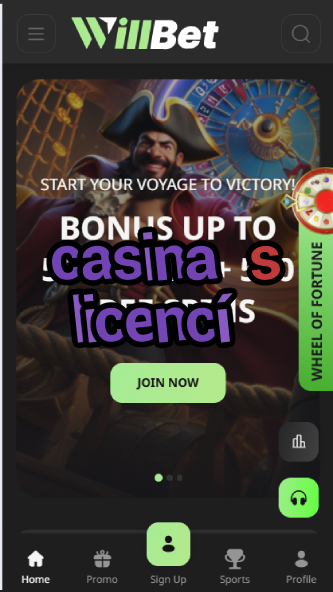 Casina S Licencí - Licensed Czech Casinos-casinoorder.vip